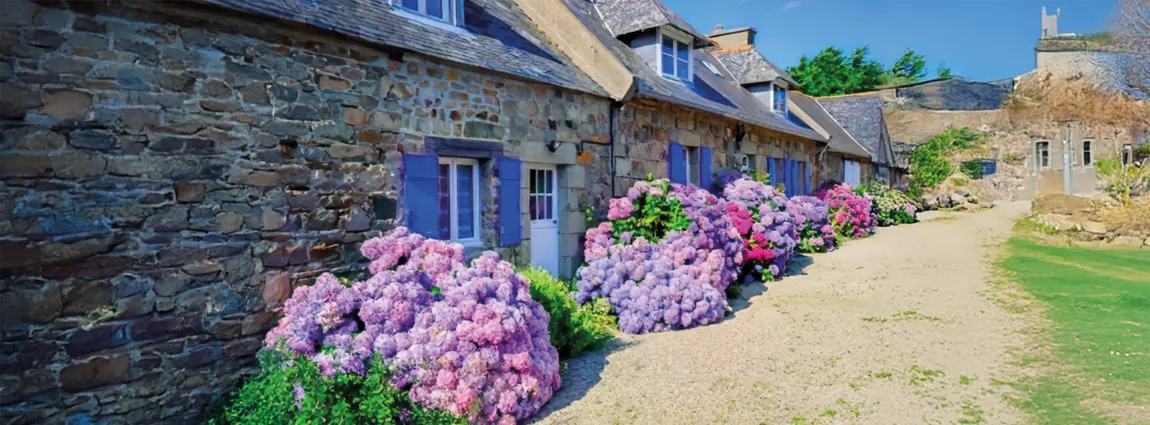Bretagne Proprietes Services Bps Agence Immobiliere Ploermel 49 Ou En Est Le Marche De Limmobilier 1